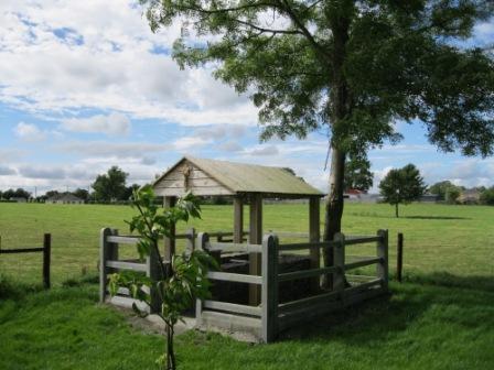 St. Finian’s Holy Well, Clonard with shelter (photo by Joan Mullen)