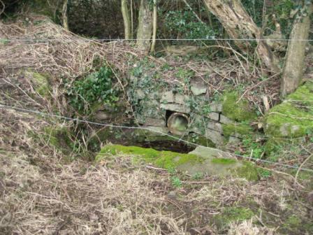 Maher’s Well on the Charlesfort Estate, near Kells as it is today. This well originally had a wishing seat (photo by Eamonn Courtney). 