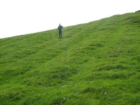 Famine ridges, also sometimes known as lazy beds, in field at Loughcrew, Oldcastle near Cairn T carpark (photo by Seamus Smith)