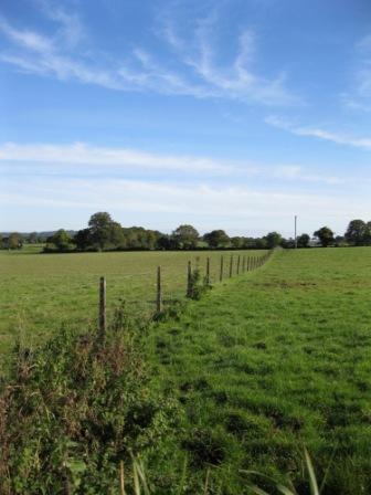 Land Commission fence at Hayestown, Navan (photo by Joan Mullen)