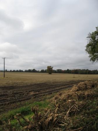 This large field close to Kells is known as the Lis or Lislands. It has been photographed before ploughing (photo by Joan Mullen)