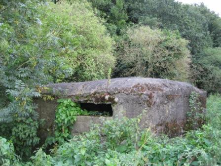 Pillbox, dating from the Second World War, near Oldbridge (photo by Joan Mullen)
