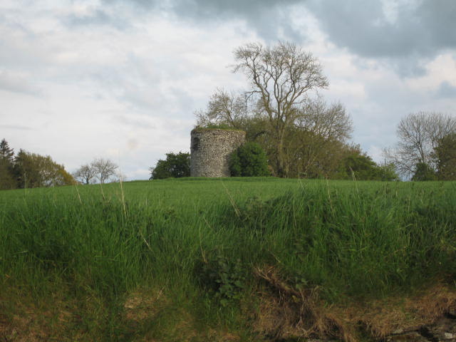 Ruins of a windmill in a field at Headfort, Kells (photo by Eamonn Courtney)