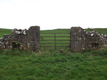 Sheep gaps built into the stone wall, partially filled in to the left and right of this field gate at Ballymacad, Oldcastle (photo by Michael Gammell)