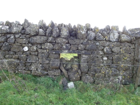 Sheep gap (partially filled in) built into the stone wall in field in Ballymacad townland near Oldcastle. (photo by Michael Gammell).