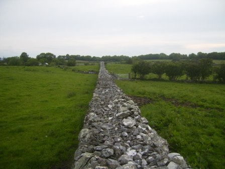Stone wall at Boolies, Oldcastle photographed from the top of the wall. This wall was built as Famine Relief work. The straightness, length and quality of the work can be clearly seen. ‘The large stone walls measure about 6 ft / 2 metres high, approximately 4ft / 1.25 metres wide and over 1 mile / 1.5 km long. These stone walls were built around 1850 (during the Famine) to give employment and clear the land. Hugh “the Bow” Reilly started the project paying each person 1d per day, working from dawn to dusk. He ended up broke having taken on such a big project.’ (photo by David Sheridan).