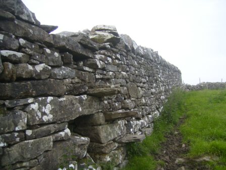 Stile with clear stone steps built into the stone wall in a field at Boolies, Oldcastle (photo by David Sheridan).