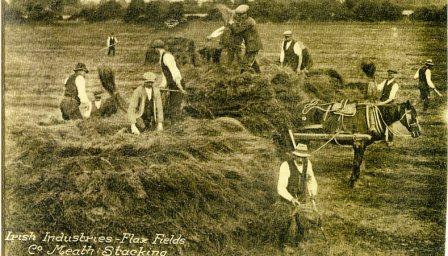  Historic photo of Flax stacking in County Meath. The caption on the photo reads ‘Irish Industries – Flax fields, Co. Meath, stacking’ (photo courtesy of 'Staidéar Áitiúil - Seirbhís Leabharlainne Chomhairle Chontae An Mí / Local Studies - Meath County Council Library Service')