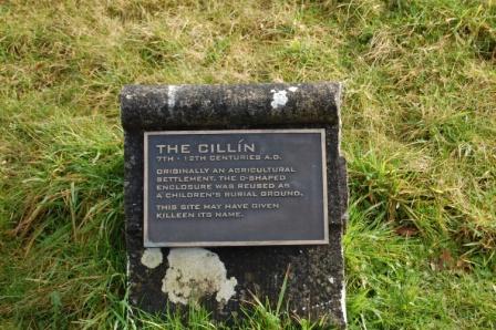 The Cillín stone at Killeen townland near Dunshaughlin. The inscription reads ‘The Cillín, 7th to 12th Centuries AD. Originally an agricultural settlement, the D shaped enclosure was reused as a children’s burial ground. This site may have given Killeen its name.’ Killeen(Cillín) is a burial place for unbaptised infants (photo by Frances Tallon)