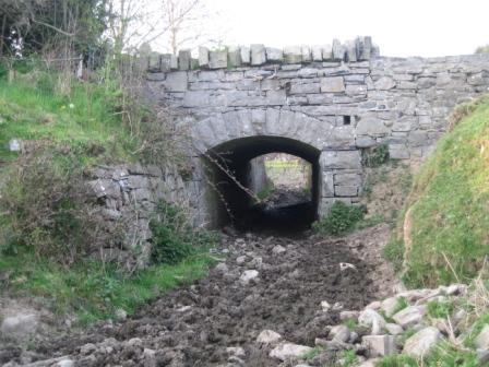 Victorian cattle underpass, at Athgaine Great, near Cortown, Kells. This was for livestock and linked two fields. This was an unusual feature in those times. In modern times concrete cattle underpasses are sometimes built for farmers where their farm is split by new roads and motorways (photo by Eamonn Courtney)