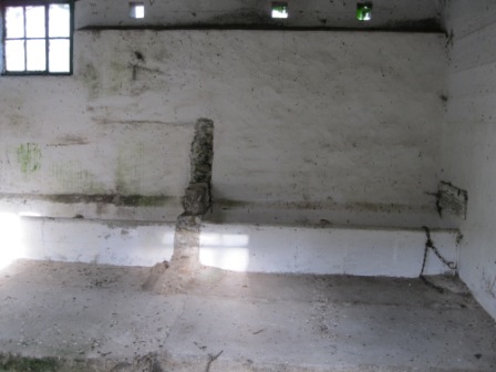 Inside of old farm shed at Gormanstown near Stamullin. This shed probably would have been used for stall feeding cattle in the winter. The photo shows the manger along the wall and the chain and ring used to secure the cattle. The walls were whitewashed for disinfection purposes. The floor is sloped back and there is a channel to remove waste. (photo by Joan Mullen)