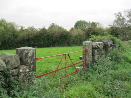 Forge made gate, cut stone piers and stone walls at entrance to field near Nobber (Photo by Joan Mullen)