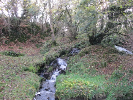 Waterfall at the Blessed well at Shancor and Corcarra, Kilmainhamwood. The waterfall is known as ‘St. Patrick’s Cascade’ on old maps. This well is also sometimes known as 'Tobar Alt an Easa' (photo by Joan Mullen).