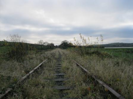 Section of the railway track, no longer used at Kilmainhamwood with grass growing up between the tracks (photo by Joan Mullen)