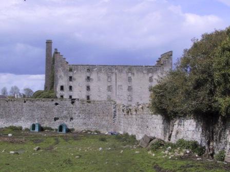 Newhaggard Mill at Trim (photo supplied by the Conservation Office at Meath County Council)