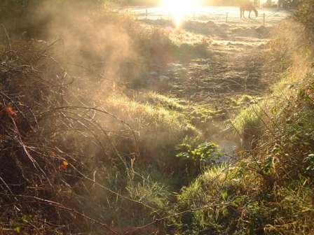 St. Gorman’s Spring at Ballynakill, Enfield with steam rising on a frosty morning. St. Gorman’s Well is a Holy well. It is also a hot well; during winter months the water at this well is quite warm. Steam can be seen rising over it in frost & snow (photo courtesy of the Heritage Office at Meath County Council from ‘The Making of Meath’ by Robert Meehan)