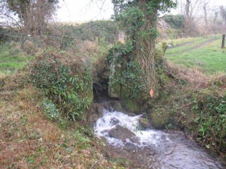 Old ‘Sheep Bath’ at ‘Pond Field’ Summerbank, Oldcastle viewed from one side (photo by Martin Devin)