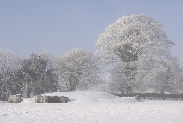 Ringfort at Trammon, Rathmolyon in the snow (photo by Kieran Cummins)